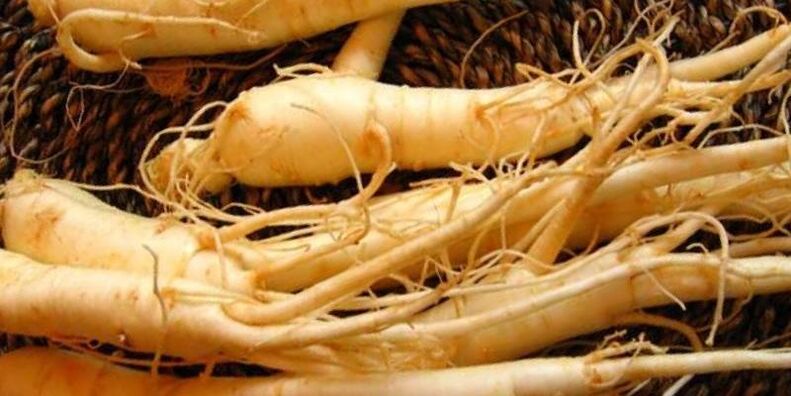 rễ nhân sâm để tăng hiệu lực